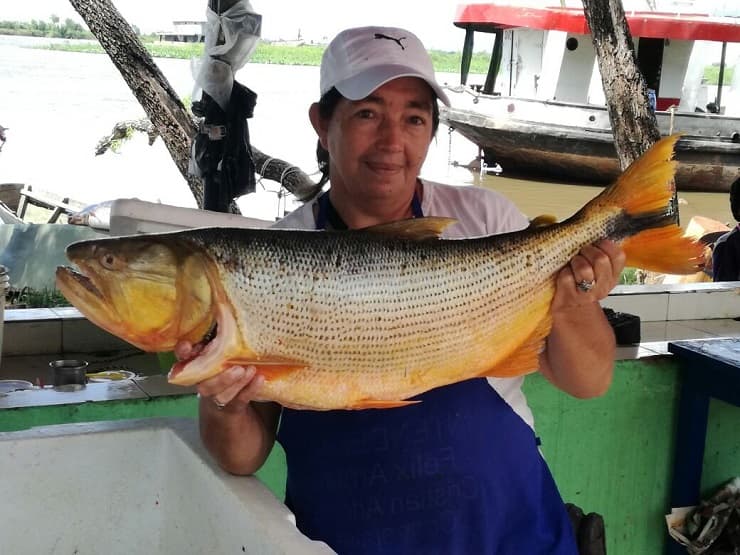 Remanso: Precios accesibles para amantes del pescado
