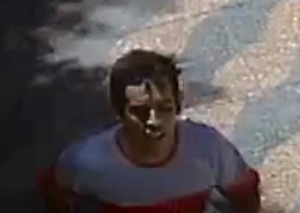 Ineptitud policial en caso de joven que asaltó y golpeó a anciana