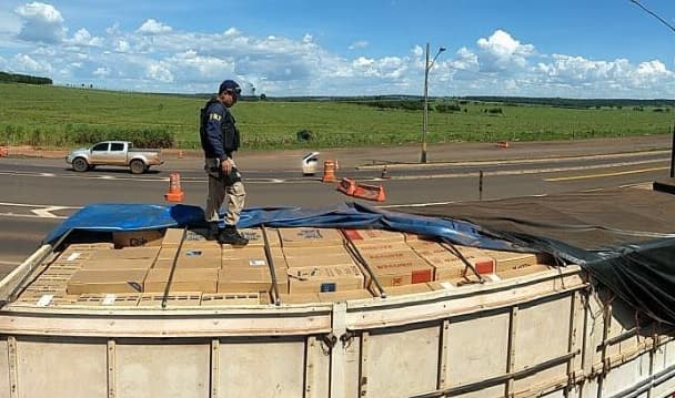 Incautan descomunal cantidad de cigarrillos ilegales