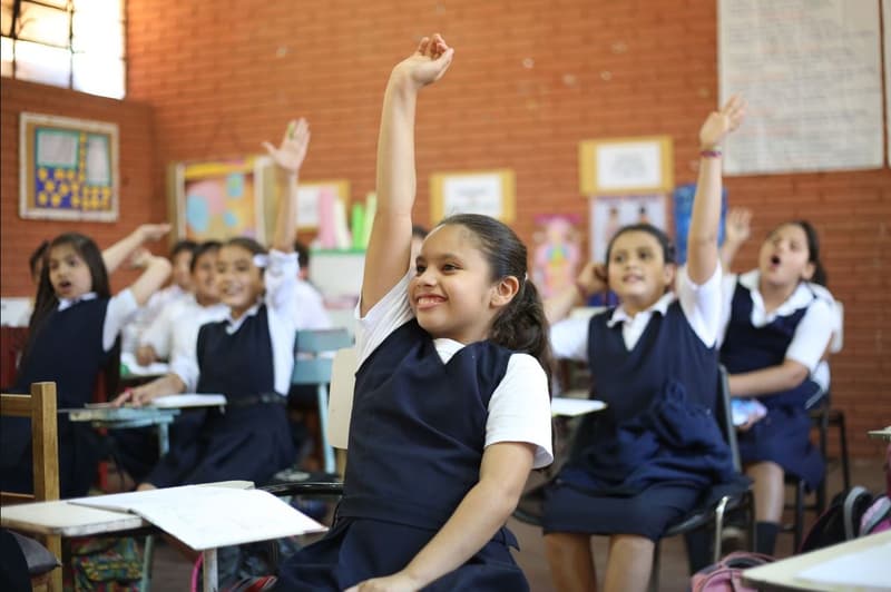 Movilización de enjambre amarillo no afectará inicio de clases