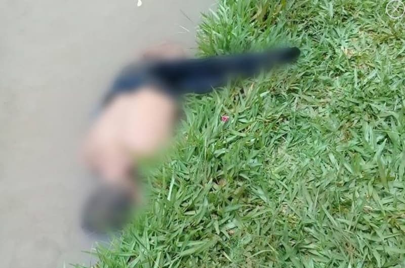 Peón muere destripado en el este