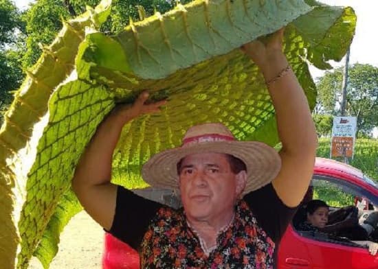 El Yakare Yrupẽ no se salva… de los memes