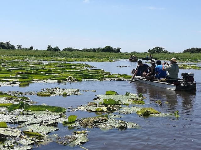 Seam denuncia ante la Fiscalía la depredación del “Yakare Yrupẽ”