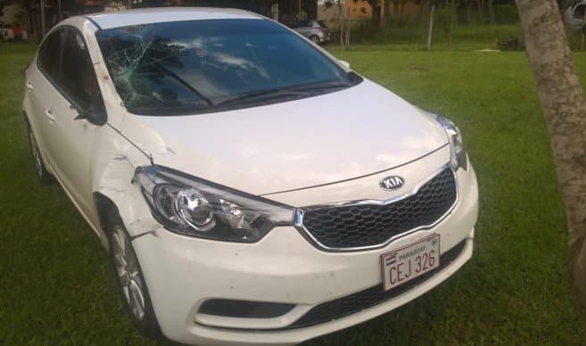 Jueza arrolló y mató a adulto mayor