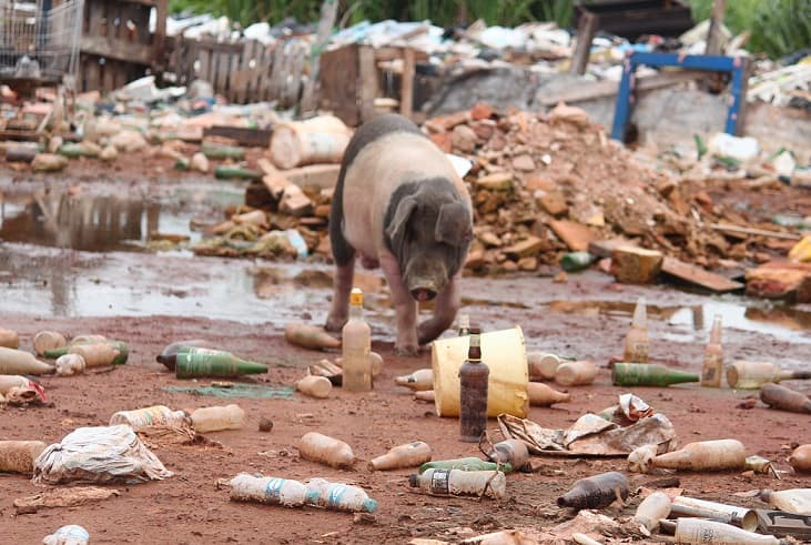 Tablada atestada de basura y criaderos de dengue