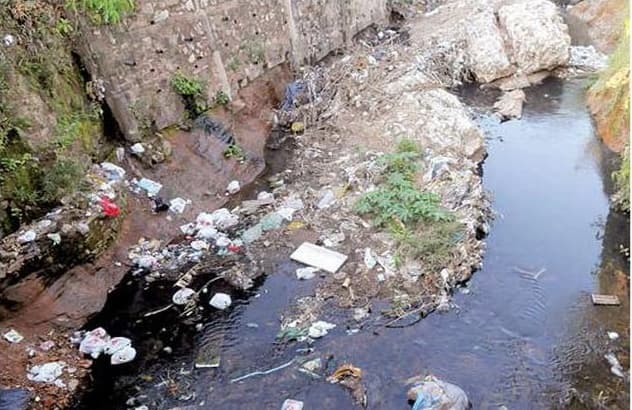 Inconsciencia ciudadana causa depredación del medioambiente
