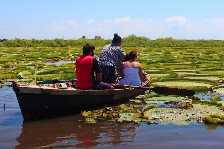 Feriado se adelanta la próxima semana