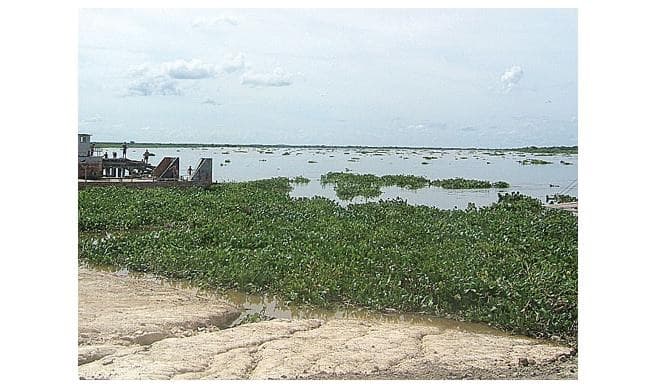 Hallan cuerpo sin vida en aguas del Río Paraguay