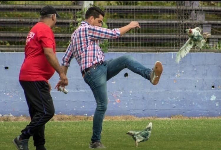 Gerente de club saca a patadas a una gallina de estadio