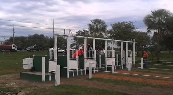 Niño muere al caer de caballo en plena carrera