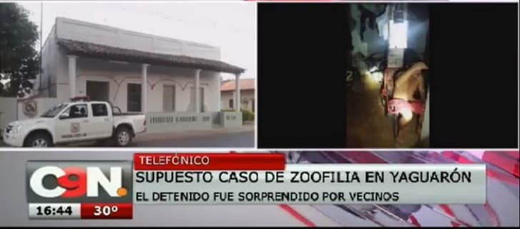 Detienen a hombre por abuso de una mascota