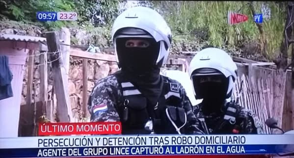 Nueva captura “acuática” del Grupo Lince