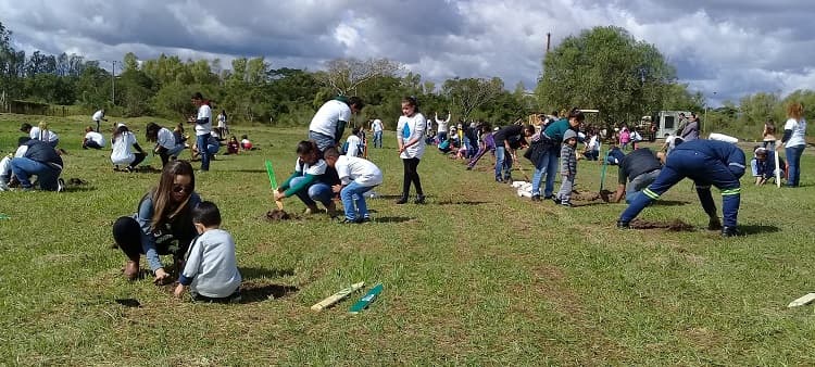 Cervepar reforestó su cervecería en alianza con A Todo Pulmón