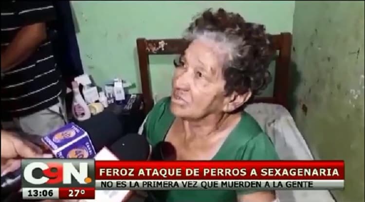 Mujer de avanzada edad fue atacada por dos perros pitbull