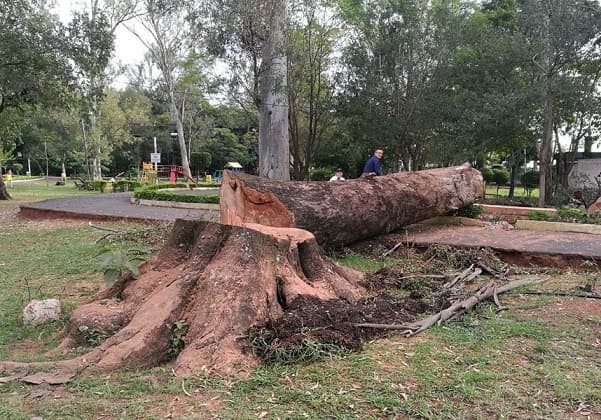 Apartan del cargo a director de ciclovía de San Lorenzo