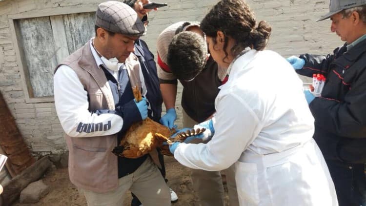 Fiscalía investiga a empresa ante denuncias de contaminación