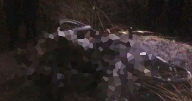 Cuerpo calcinado es hallado en Pedro Juan Caballero