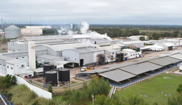 Frigorífico despidió a más de 150 obreros