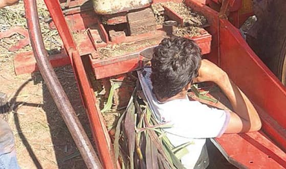 Forrajera arrancó el brazo a adolescente