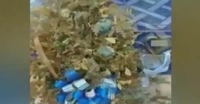 Profanan tumba del padre del diputado Portillo