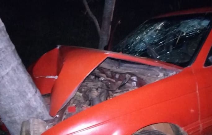 Automovilista chocó contra cocotero y acompañante falleció
