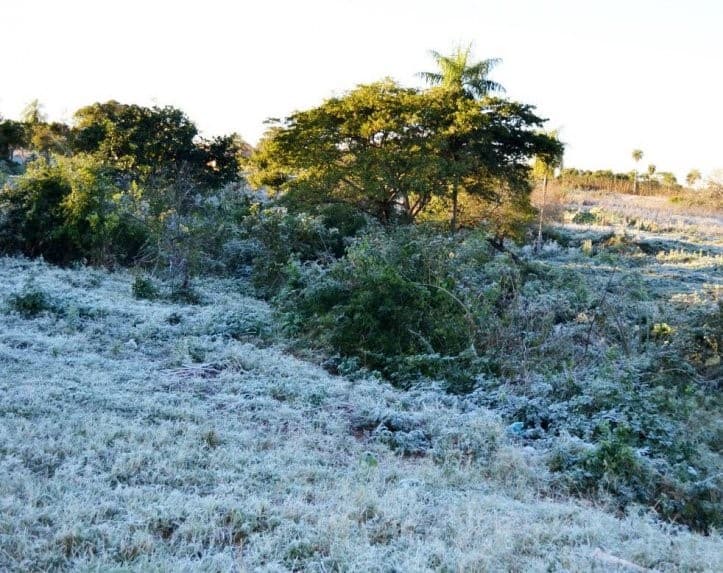 Bajas temperaturas y escarchas para este fin de semana
