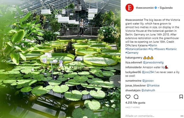 El Yakare Yrupẽ se luce en vivero de Berlín