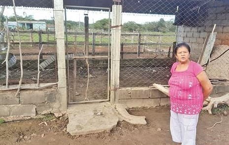 "Chupacabras" resultó ser un león