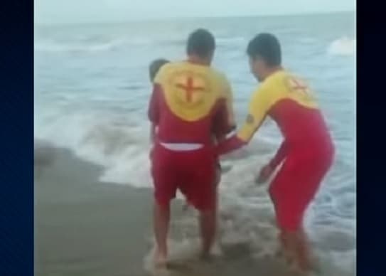 Brasil: Joven muere luego de ser atacado por tiburón