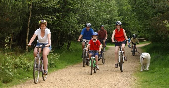 Recomiendan practicar actividades en familia durante las vacaciones