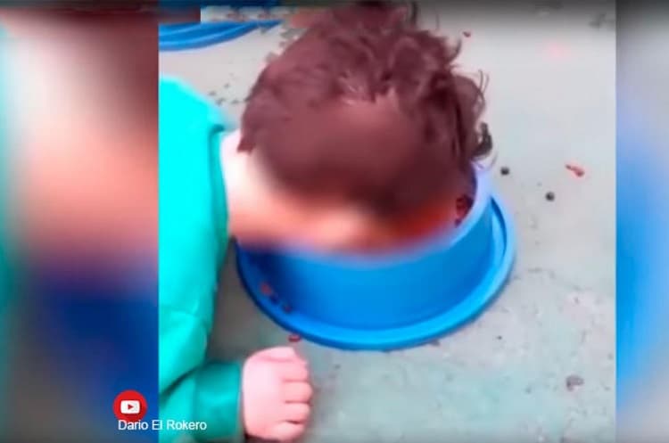 Madre humilló a su hijo haciendo que coma alimento del perro