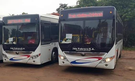 Trabajador trató de atajar un bus con las manos y murió arrollado
