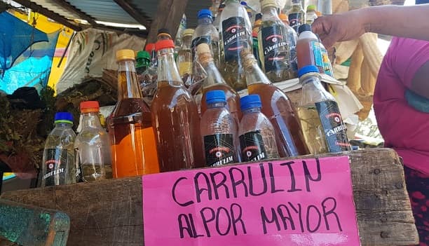 Siete tragos y en ayunas: Así debe ser la “ceremonia” para beber el carrulím