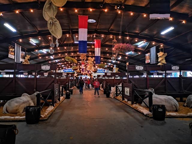 Shows artísticos y folclóricos marcarán el cierre de la Expo 2018