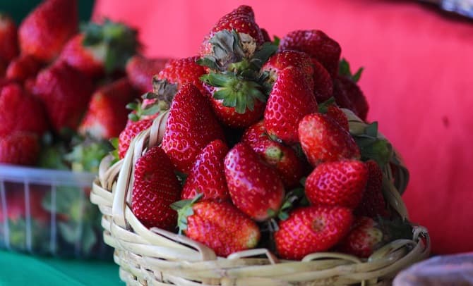 Invitan a feria de frutilla en Asunción