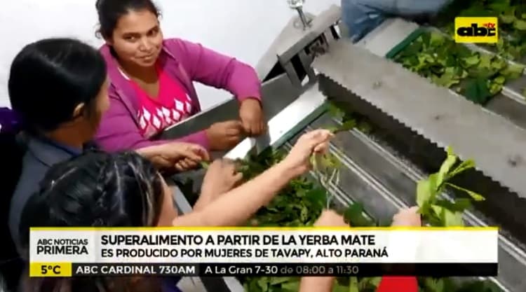 Elaboran insumo de yerba mate para gastronomía