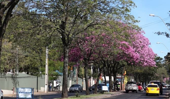 Anuncian ambiente fresco a caluroso para este sábado