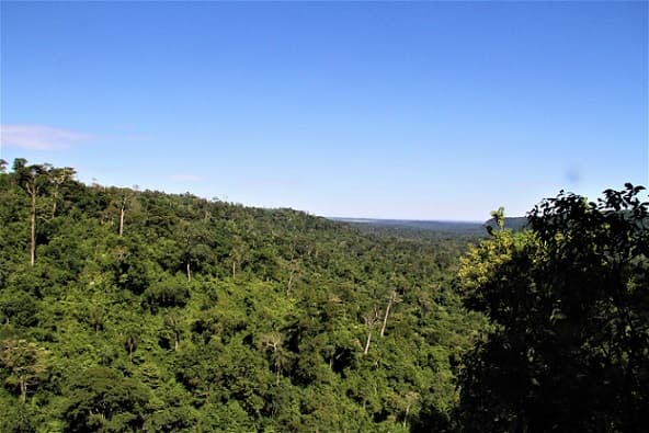 Cazadores asesinaron a guardaparque, sospechan