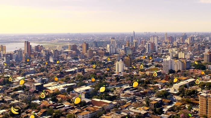 Buscan mapear árboles frutales en Asunción