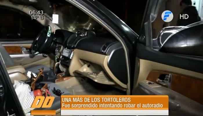 Joven encuentra a tortolero en el interior de su vehículo