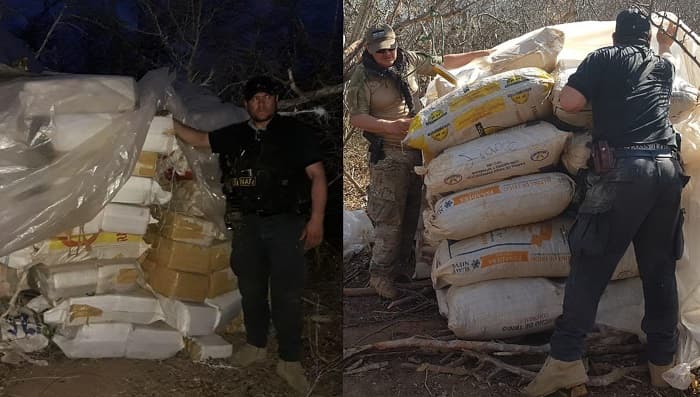 Senad incauta dos toneladas de marihuana en el Chaco
