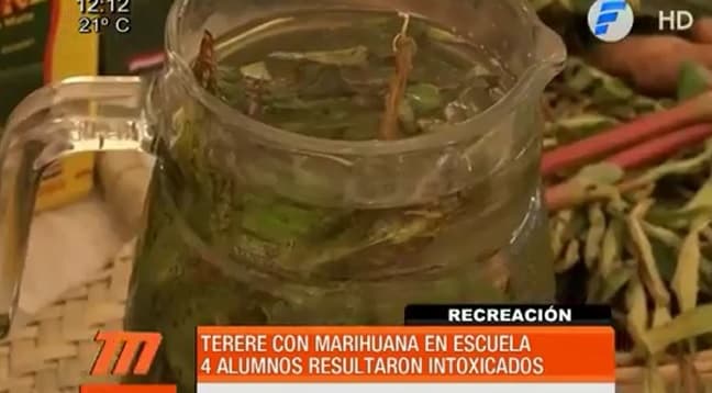 “Tereré de marihuana” causa estragos en colegio