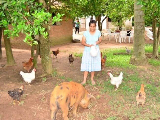 Madre de joven muerto en humedal asegura que no pasan hambre