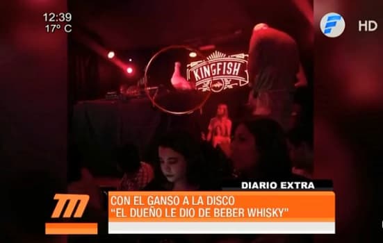 Denuncian ante Fiscalía "paseo" de ganso en local nocturno