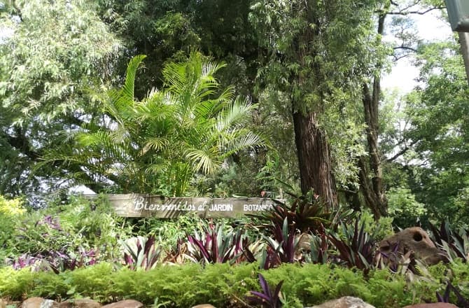 Ciudadanos piden evitar la "destrucción del Jardín Botánico"