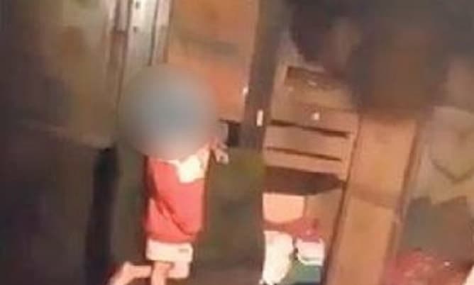 Padres serán imputados por pelear frente a su hijo