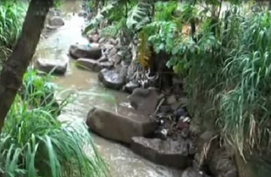 Hombre cae a un arroyo y está desaparecido