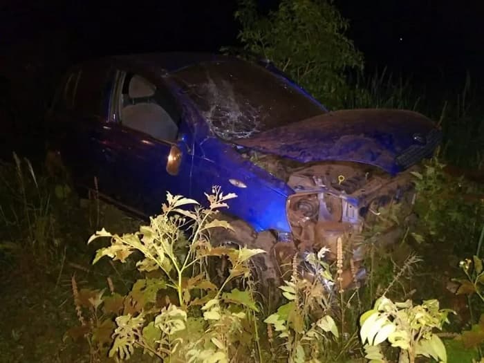 Joven vuelca al evitar arrollar a un gato