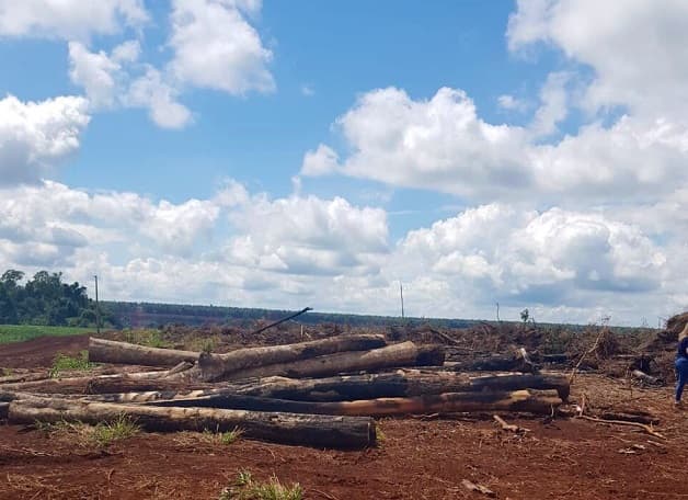 Intervienen crimen contra el medioambiente