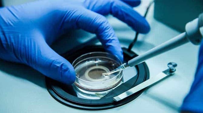 Hombre es sentenciado por un Tribunal a ser padre